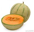 طالبی